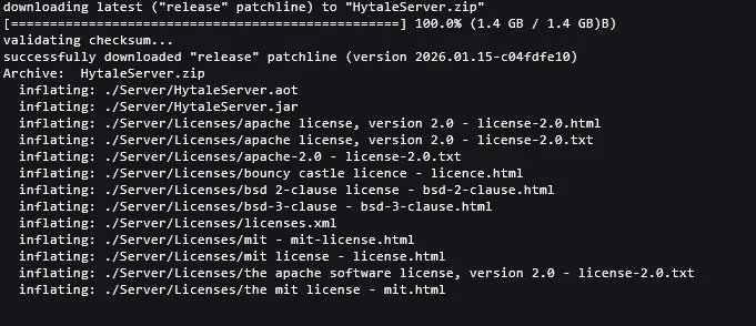 Hytale Server Auth Completed